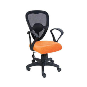 Work Station Chairs (WSC19)