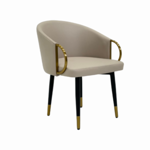 Dinning Chair (DC11