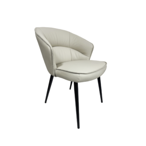 Dinning Chair (DC12