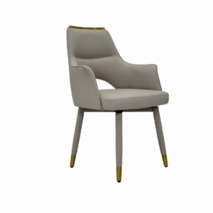 Dinning Chair (DC13