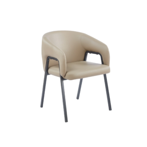 Dinning Chair (DC15