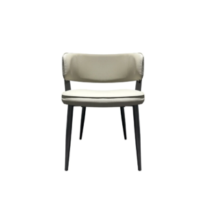 Dinning Chair (DC16