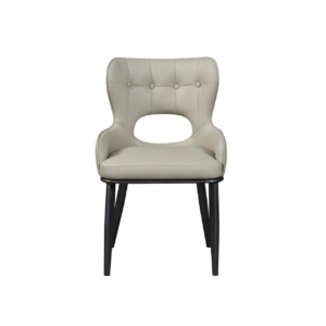 Dinning Chair (DC17