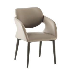 Dinning Chair (DC18