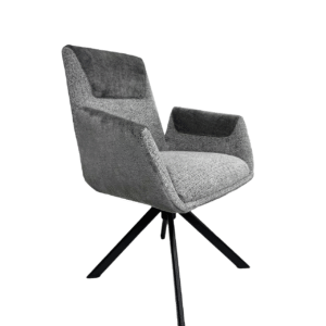 Dinning Chair (DC19