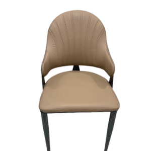 Dinning Chair (DC01