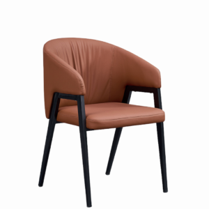 Dinning Chair (DC02
