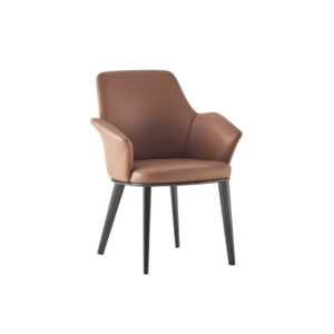 Dinning Chair (DC21