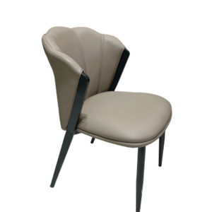 Dinning Chair (DC22