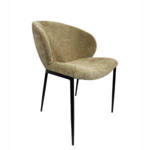 Dinning Chair (DC23
