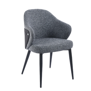 Dinning Chair (DC24