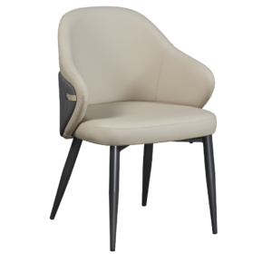 Dinning Chair (DC25