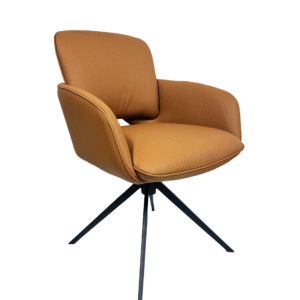 Dinning Chair (DC27