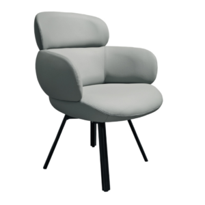 Dinning Chair (DC28