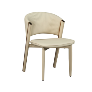 Dinning Chair (DC29