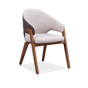 Dinning Chair (DC30