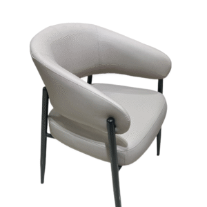 Dinning Chair (DC31
