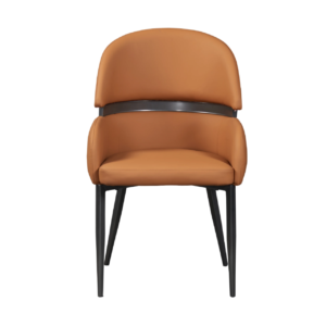 Dinning Chair (DC32