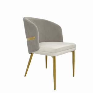 Dinning Chair (DC33