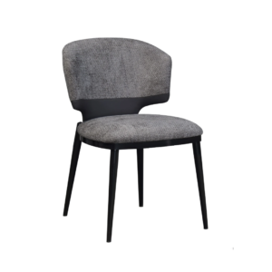 Dinning Chair (DC36