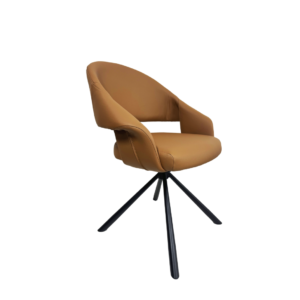 Dinning Chair (DC05