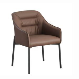 Dinning Chair (DC08