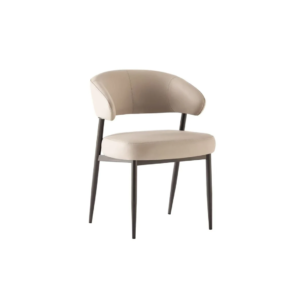 Dinning Chair (DC09