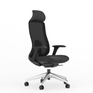 Executive Chairs EC224