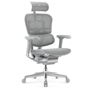 Premium Chairs PC03