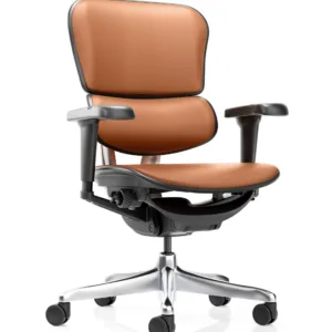 Premium Chairs PC05