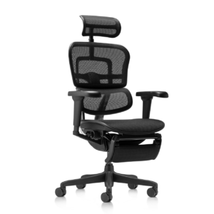 Premium Chairs PC06