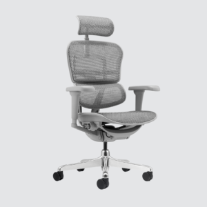 Premium Chairs PC08