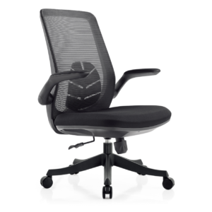 Office Chairs OC0111