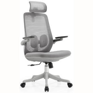 Office Chairs OC0033